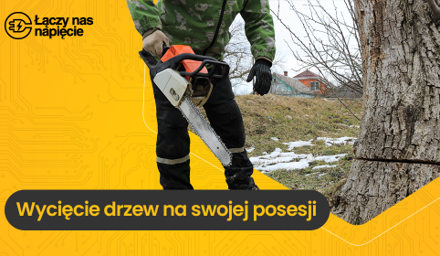 Wycięcie drzewa na posesji bez zezwolenia