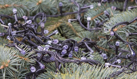 Dlaczego, gdy gaśnie jedna, gasną wszystkie? Odkrywamy tajemnicę starych lampek