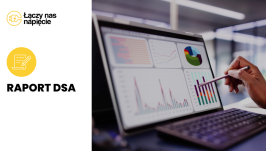 Raport DSA
