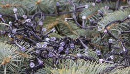 Dlaczego, gdy gaśnie jedna, gasną wszystkie? Odkrywamy tajemnicę starych lampek