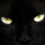 zdjęcie użytkownika Nemezis2020