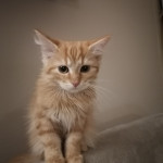 zdjęcie użytkownika Blady