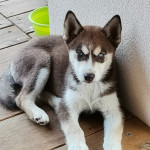 zdjęcie użytkownika Jork130